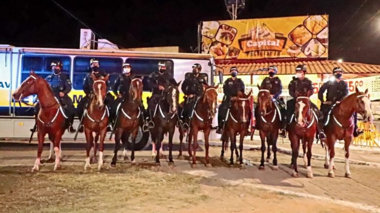 Operação da PRF recolhe 23 cavalos abandonados em rodovias do Recife e Zona  da Mata — Polícia Rodoviária Federal