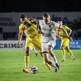 botafogo x brusque
